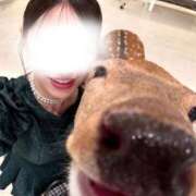 ヒメ日記 2025/11/08 21:15 投稿 きの☆イイ子過ぎモデル系☆ アネキャンモード