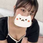 ヒメ日記 2025/03/28 11:11 投稿 ひとみ かりんと吉祥寺