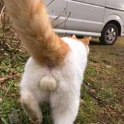 ヒメ日記 2025/04/09 10:46 投稿 そよか 奥様特急三条店