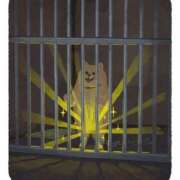 ヒメ日記 2025/05/30 02:46 投稿 そよか 奥様特急三条店