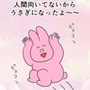 ヒメ日記 2025/09/25 11:28 投稿 もも（美巨乳・スタイル完璧） ソープランド ラ・メイド neo