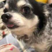 ヒメ日記 2025/03/30 11:36 投稿 まこ お姉さんSelect