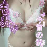 ヒメ日記 2025/05/16 12:16 投稿 まこ お姉さんSelect