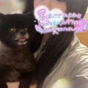 ヒメ日記 2026/07/10 15:40 投稿 ゆあ【フワパイFのドM美女】 なすがママされるがママ 宇都宮