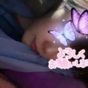 ヒメ日記 2025/04/03 06:36 投稿 NANA Salvador (サルバドール)