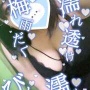 ヒメ日記 2025/07/14 22:07 投稿 ほのか 山口下関ちゃんこ