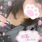 ヒメ日記 2025/08/16 19:03 投稿 ほのか 山口下関ちゃんこ