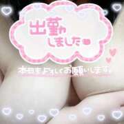 ヒメ日記 2025/08/17 19:13 投稿 ほのか 山口下関ちゃんこ