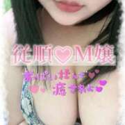 ヒメ日記 2025/09/28 23:43 投稿 ほのか 山口下関ちゃんこ