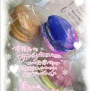 ヒメ日記 2025/11/30 17:24 投稿 ほのか 山口下関ちゃんこ