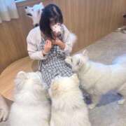 ヒメ日記 2025/09/16 10:55 投稿 あずさ BAD COMPANY（バッドカンパニー）