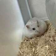 ヒメ日記 2025/11/17 08:01 投稿 あずさ BAD COMPANY（バッドカンパニー）