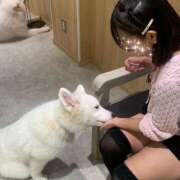 ヒメ日記 2025/11/28 13:58 投稿 あずさ BAD COMPANY（バッドカンパニー）