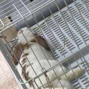 ヒメ日記 2026/01/25 08:00 投稿 あずさ BAD COMPANY（バッドカンパニー）