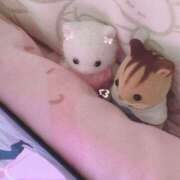 ヒメ日記 2025/09/05 00:13 投稿 まほ アラカルト