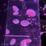 まほ おはよー♡ アラカルト