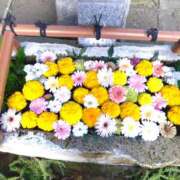 ヒメ日記 2025/03/03 22:04 投稿 三木 MadameRest(マダムレスト)