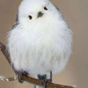 ヒメ日記 2025/03/07 06:43 投稿 三木 MadameRest(マダムレスト)