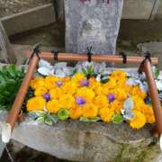 ヒメ日記 2025/03/19 13:10 投稿 三木 MadameRest(マダムレスト)