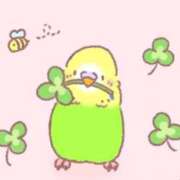 ヒメ日記 2025/04/21 12:43 投稿 三木 MadameRest(マダムレスト)