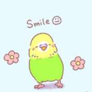 ヒメ日記 2025/04/22 13:51 投稿 三木 MadameRest(マダムレスト)