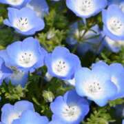 ヒメ日記 2025/05/01 08:55 投稿 三木 MadameRest(マダムレスト)