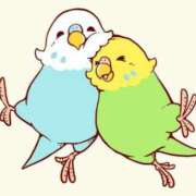 ヒメ日記 2025/05/01 11:24 投稿 三木 MadameRest(マダムレスト)