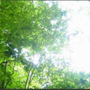 ヒメ日記 2025/05/04 08:31 投稿 三木 MadameRest(マダムレスト)