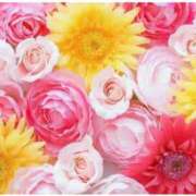 ヒメ日記 2025/05/06 10:39 投稿 三木 MadameRest(マダムレスト)