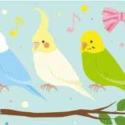 ヒメ日記 2025/05/10 08:41 投稿 三木 MadameRest(マダムレスト)