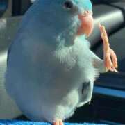 ヒメ日記 2025/05/10 11:27 投稿 三木 MadameRest(マダムレスト)