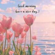 ヒメ日記 2025/05/20 04:29 投稿 三木 MadameRest(マダムレスト)