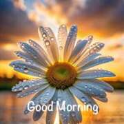 ヒメ日記 2025/05/22 06:45 投稿 三木 MadameRest(マダムレスト)