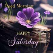 ヒメ日記 2025/05/24 10:29 投稿 三木 MadameRest(マダムレスト)