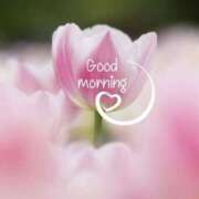 ヒメ日記 2025/05/25 11:44 投稿 三木 MadameRest(マダムレスト)