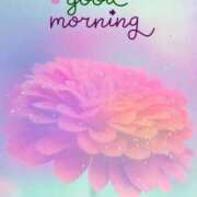 ヒメ日記 2025/06/01 10:23 投稿 三木 MadameRest(マダムレスト)