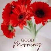 ヒメ日記 2025/06/02 09:50 投稿 三木 MadameRest(マダムレスト)