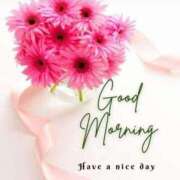 ヒメ日記 2025/06/04 10:04 投稿 三木 MadameRest(マダムレスト)