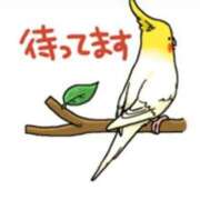 ヒメ日記 2025/06/09 15:33 投稿 三木 MadameRest(マダムレスト)