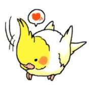 ヒメ日記 2025/06/11 13:49 投稿 三木 MadameRest(マダムレスト)