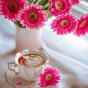 ヒメ日記 2025/06/14 14:09 投稿 三木 MadameRest(マダムレスト)