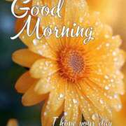 ヒメ日記 2025/06/19 09:13 投稿 三木 MadameRest(マダムレスト)