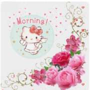 ヒメ日記 2025/06/20 09:41 投稿 三木 MadameRest(マダムレスト)