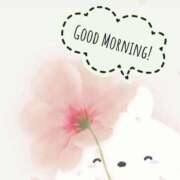 ヒメ日記 2025/06/22 10:51 投稿 三木 MadameRest(マダムレスト)