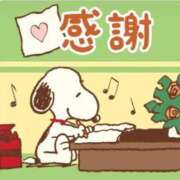 ヒメ日記 2025/06/24 00:45 投稿 三木 MadameRest(マダムレスト)