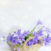 ヒメ日記 2025/06/25 13:57 投稿 三木 MadameRest(マダムレスト)