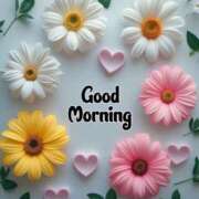 ヒメ日記 2025/06/26 09:38 投稿 三木 MadameRest(マダムレスト)