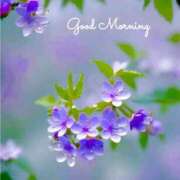 ヒメ日記 2025/07/02 09:35 投稿 三木 MadameRest(マダムレスト)