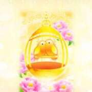 ヒメ日記 2025/07/06 12:10 投稿 三木 MadameRest(マダムレスト)