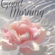 ヒメ日記 2025/07/14 08:44 投稿 三木 MadameRest(マダムレスト)